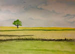 Plain and Simple by Jennyben