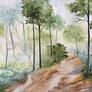 woodland path 2