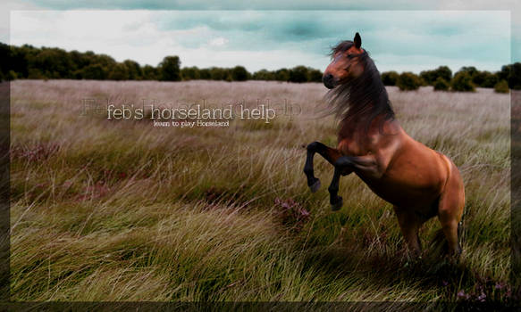 Feb's Horseland Help