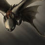 Toothless - redraw