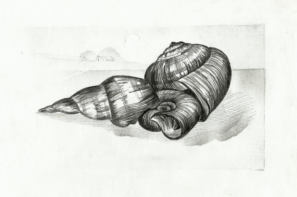 Shell Shack by schnurrDOSE on DeviantArt