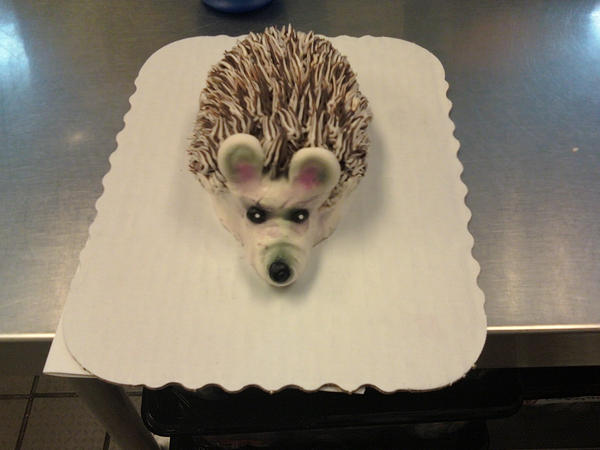 Hedgehog Critter