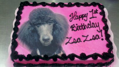 Zsa Zsa's Birthday