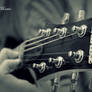 My lovely guitar.