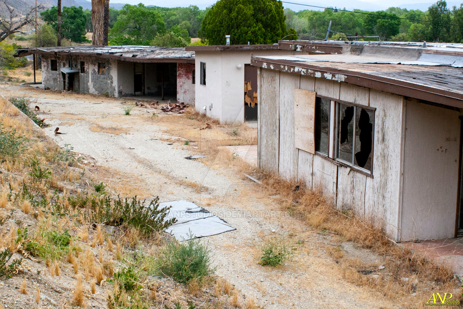 Abandoned Motel 032