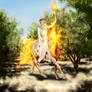 * WON * The Olympic Tochrbearer