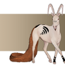 Markhorse #131 - Custom 64