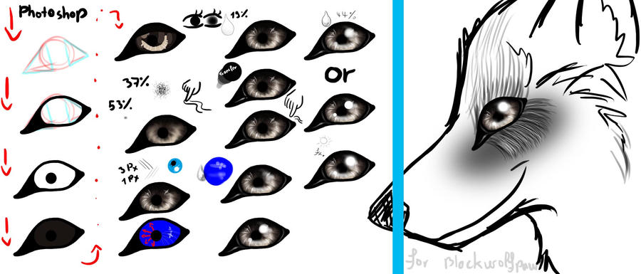 Wolfseyetutorial Photoshop