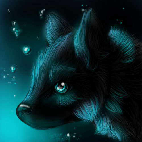 Wolf pup in blue light