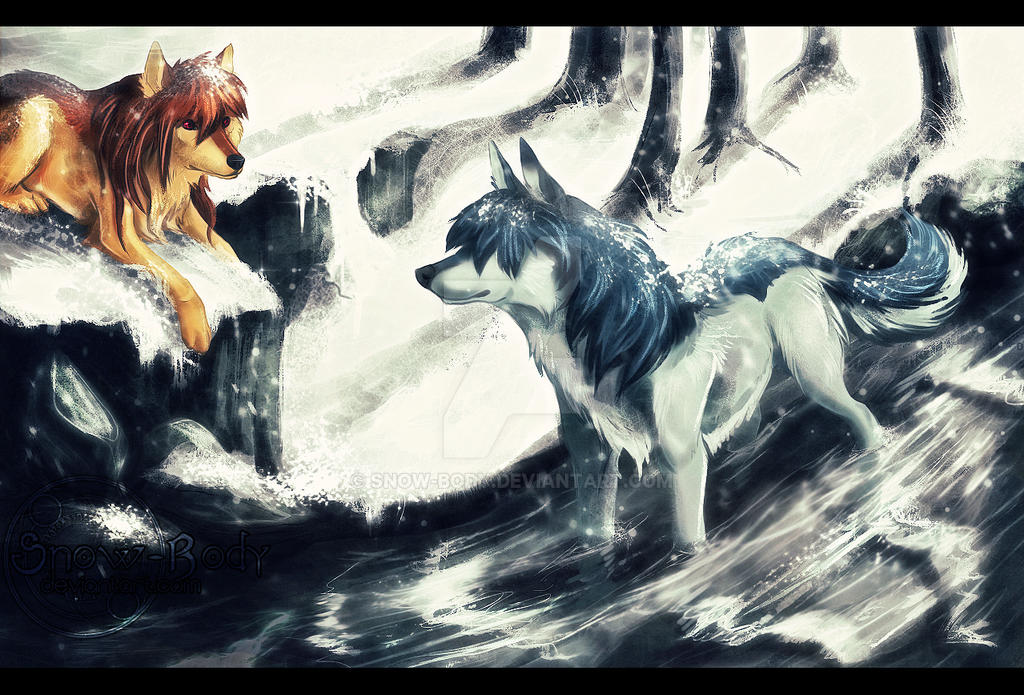 Волк и лиса 6