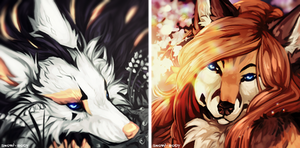 C: silent beauties by Snow-Body C: silent beauties by Snow-Body