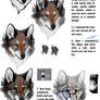 Snow-Body's: Fur Tutorial 2