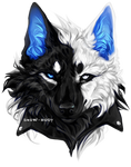 C: the final by Snow-Body