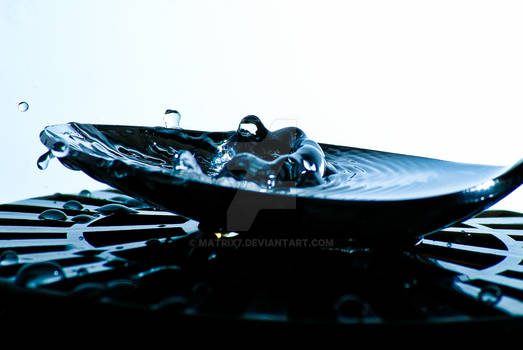 Water Drop in Tablespoon1 - Dailies 05152012