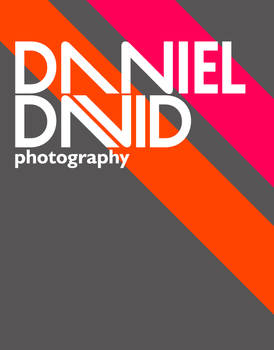 Daniel David Logo