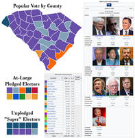 Around the Country in 80 Candidates-South Carolina