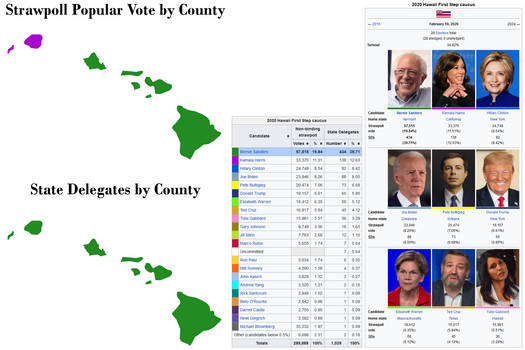 Around the Country in 80 Candidates - Hawaii pt1
