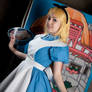 White rabbit's house