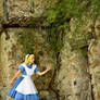 I just saw a white rabbit getting in there!!