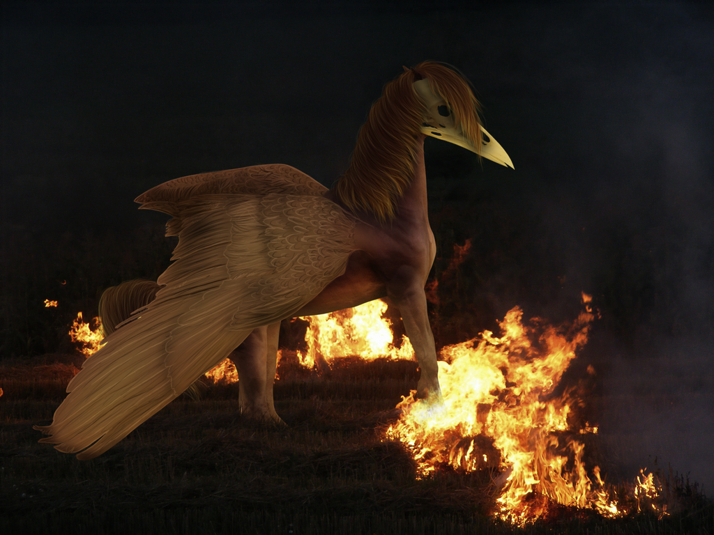 Fire Winged Entity Fire Wings Almost Done by Crystal-Syns on DeviantArt