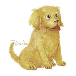 Golden Retriever