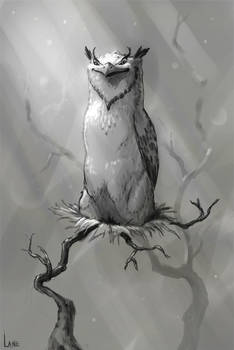 Owl Creature