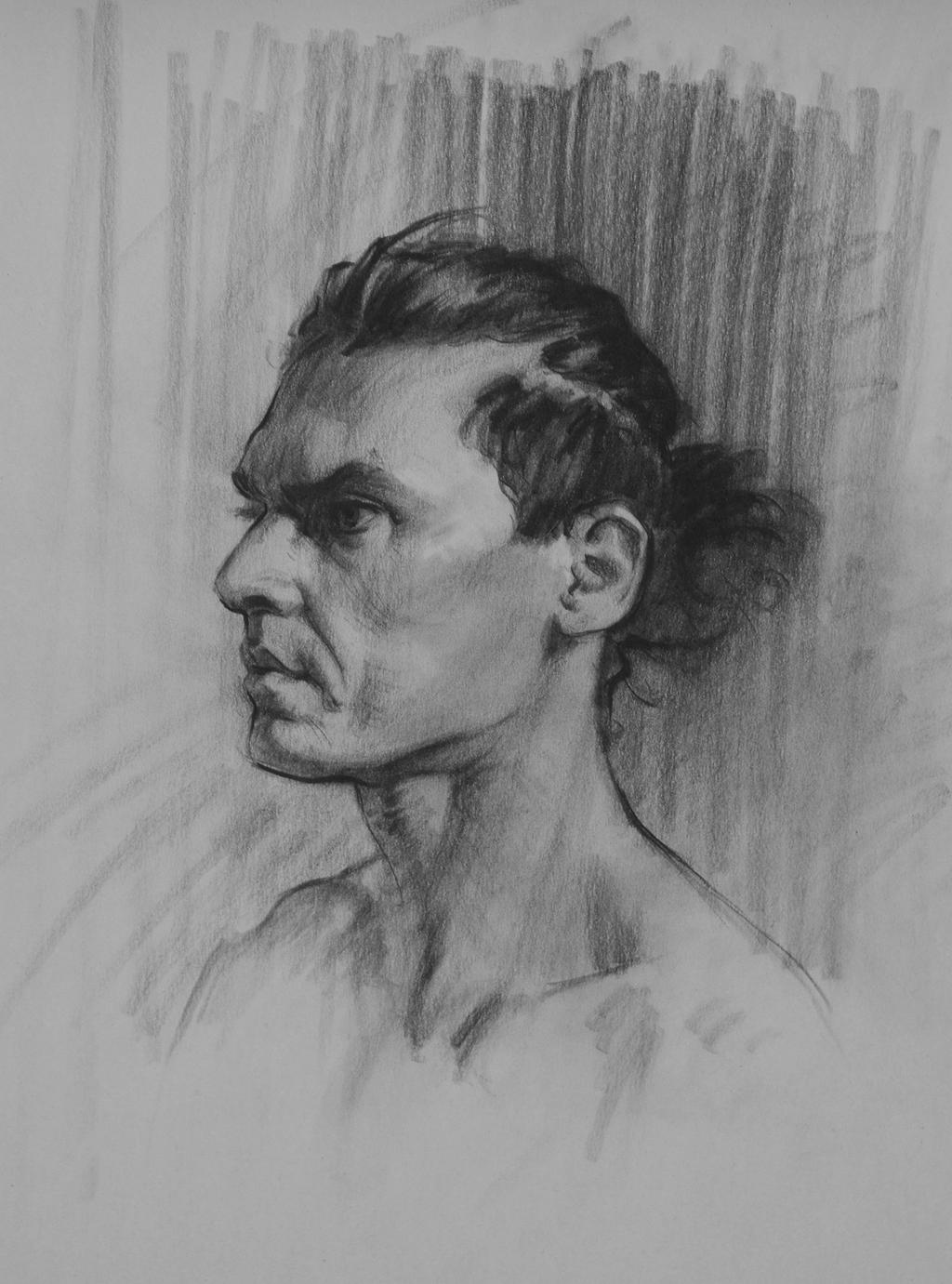 Portrait Study by Wildweasel339 on DeviantArt