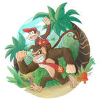 DONKEY KONG COUNTRY RETURNS by Mizutori