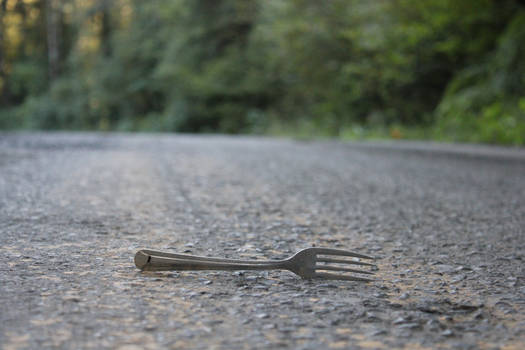 fork in the road