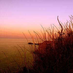 Peach and Purple Light on the Water