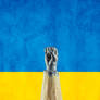 Ukrainans will resist