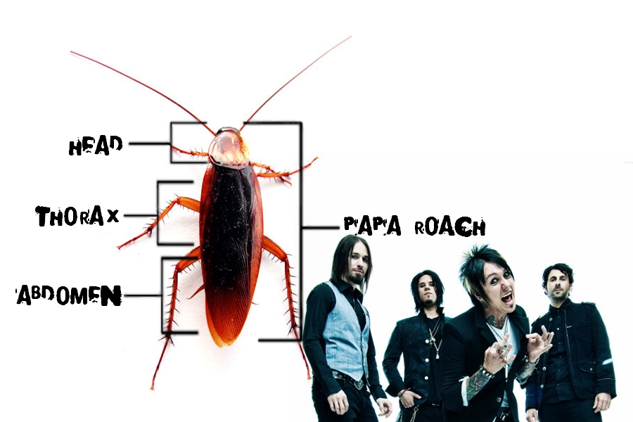 Papa Roach wallpaper