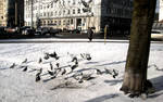 Winter 2011 by MaszekPL