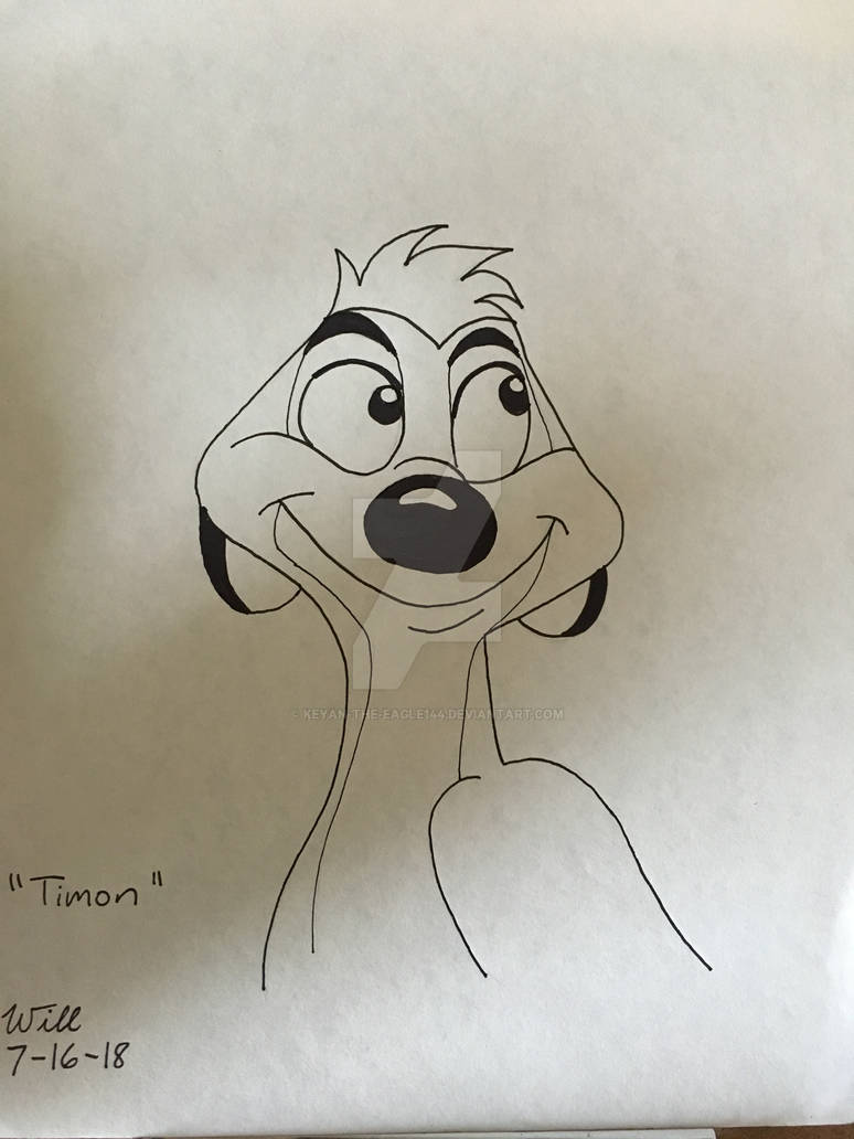 Timon by Keyan-the-Eagle144 on DeviantArt