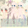 P2U Base Pack 2