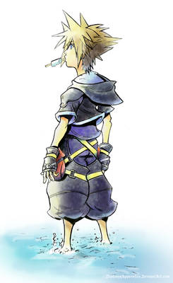 Sora: Kingdom Hearts 2 Color