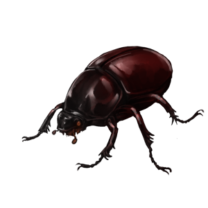 Lioden - Augosoma Centaurus F (Crimson) by SmolPinkBean on DeviantArt