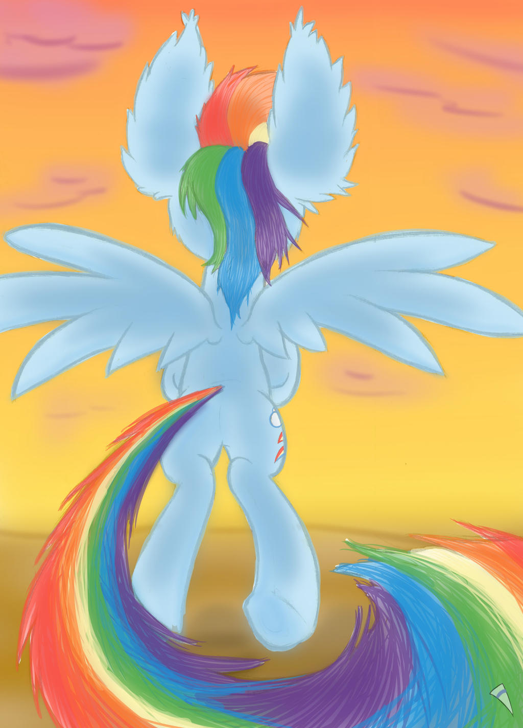 Go West, young Dashie