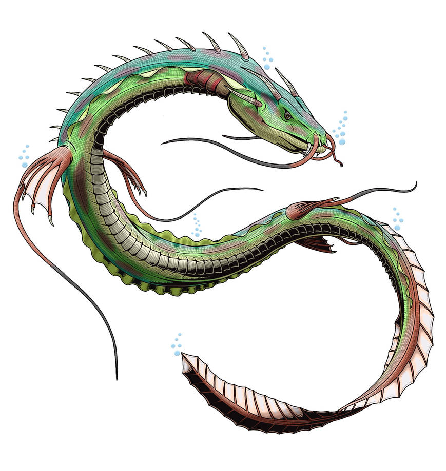 Basic Manda Manda Redesign #1 by Christiancahalan on DeviantArt