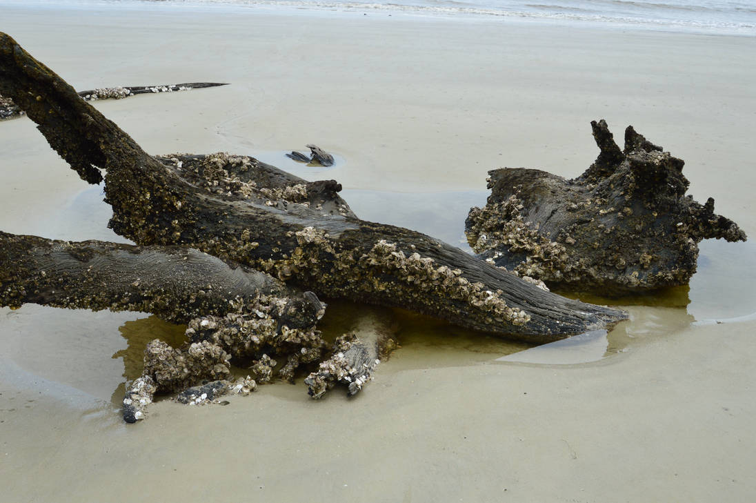 Infested by jonileth on DeviantArt