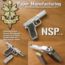 PM NSP