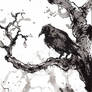 Raven in the tree sumi ink
