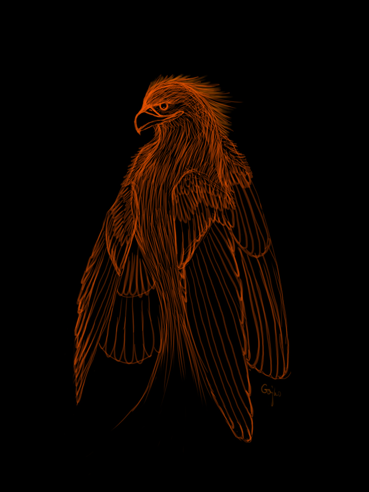 Sketchy Phoenix