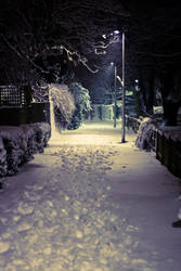 The Night it Snowed in London 2