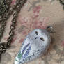 Snowy owl with lupine pendant