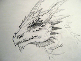 Dragon sketch