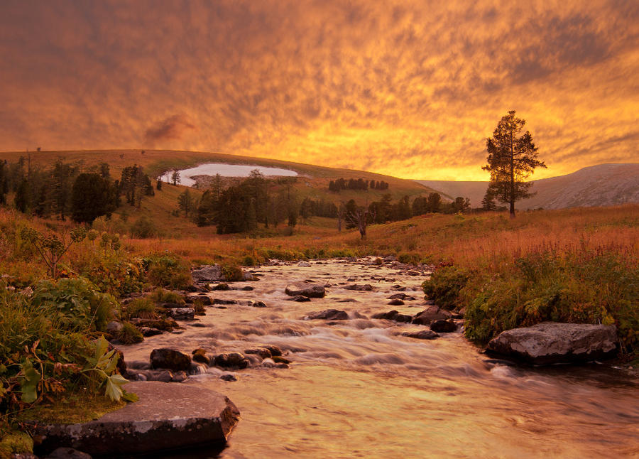 Golden sunset