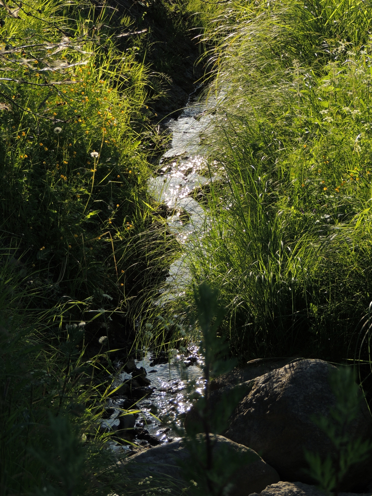 Small stream