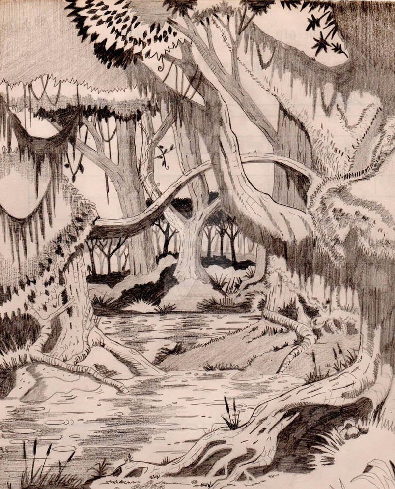 Swamp Rabbit Drawing SWAMP by Alex123Nova on DeviantArt