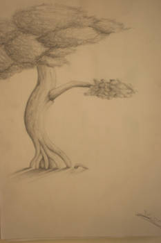 the tree